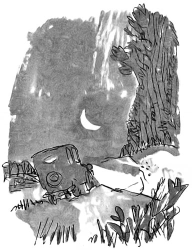 Иллюстрация к книге — Дэнни - чемпион мира [i_028.jpg]