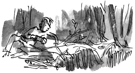 Иллюстрация к книге — Дэнни - чемпион мира [i_032.jpg]