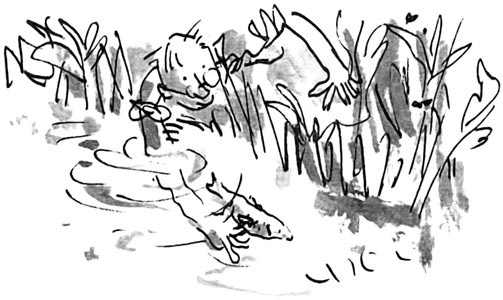 Иллюстрация к книге — Дэнни - чемпион мира [i_036.jpg]