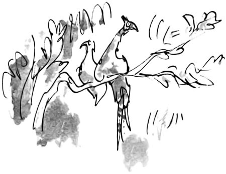 Иллюстрация к книге — Дэнни - чемпион мира [i_042.jpg]