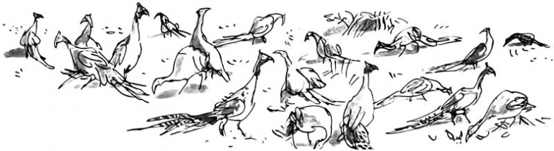 Иллюстрация к книге — Дэнни - чемпион мира [i_055.jpg]