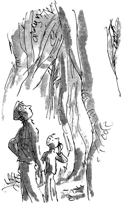 Иллюстрация к книге — Дэнни - чемпион мира [i_058.jpg]