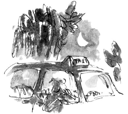 Иллюстрация к книге — Дэнни - чемпион мира [i_063.jpg]