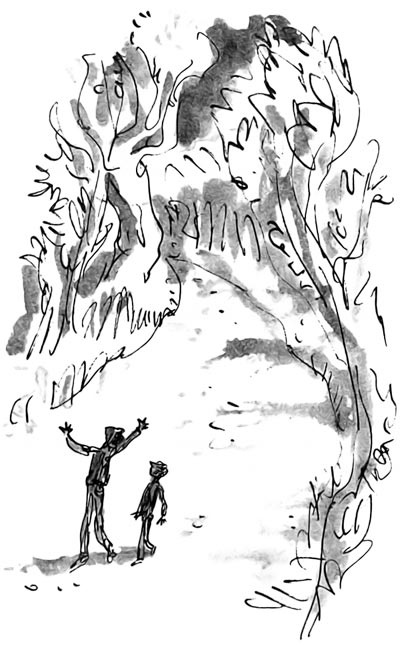 Иллюстрация к книге — Дэнни - чемпион мира [i_067.jpg]