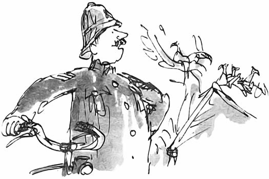 Иллюстрация к книге — Дэнни - чемпион мира [i_077.jpg]