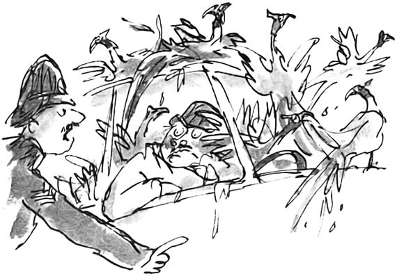 Иллюстрация к книге — Дэнни - чемпион мира [i_080.jpg]