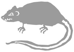 Иллюстрация к книге — Тауэр, зоопарк и черепаха [i_009.jpg]