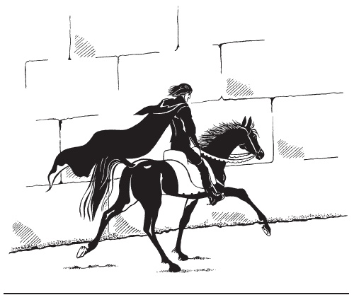 Иллюстрация к книге — Всадник [i_007.jpg]