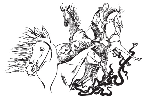 Иллюстрация к книге — Всадник [i_012.jpg]