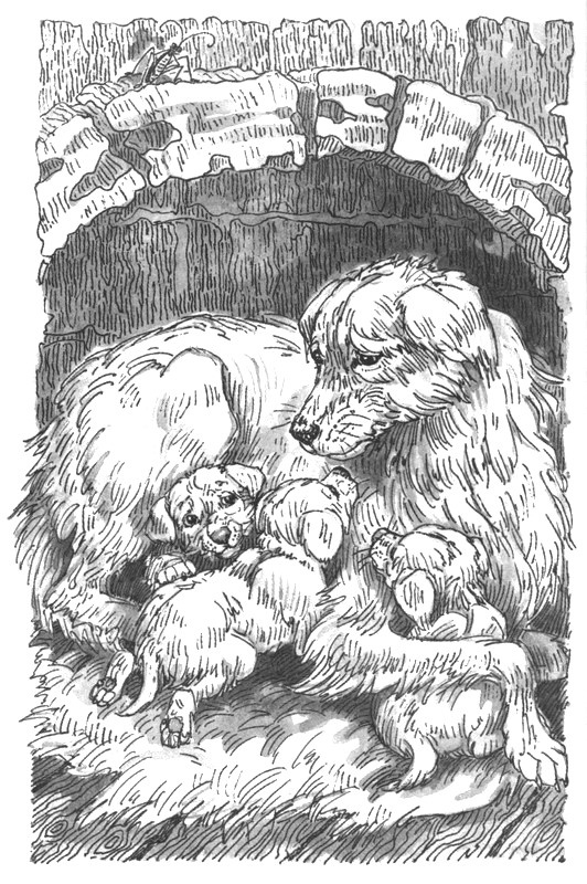 Иллюстрация к книге — Пустой город [pic000.jpg]