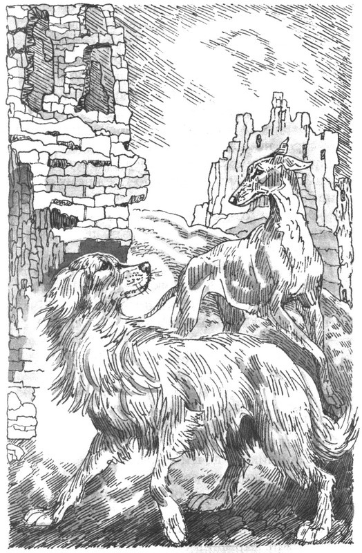 Иллюстрация к книге — Пустой город [pic017.jpg]