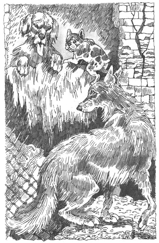 Иллюстрация к книге — Пустой город [pic159.jpg]