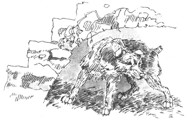 Иллюстрация к книге — Пустой город [pic171.jpg]