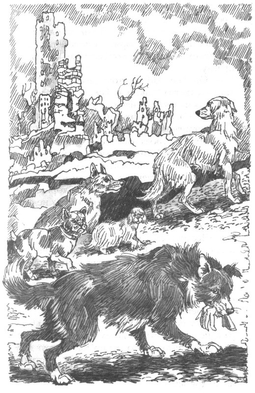 Иллюстрация к книге — Пустой город [pic197.jpg]