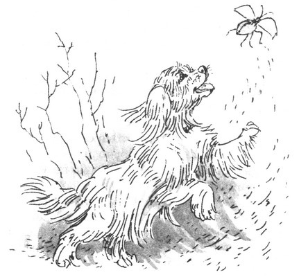 Иллюстрация к книге — Пустой город [pic219.jpg]