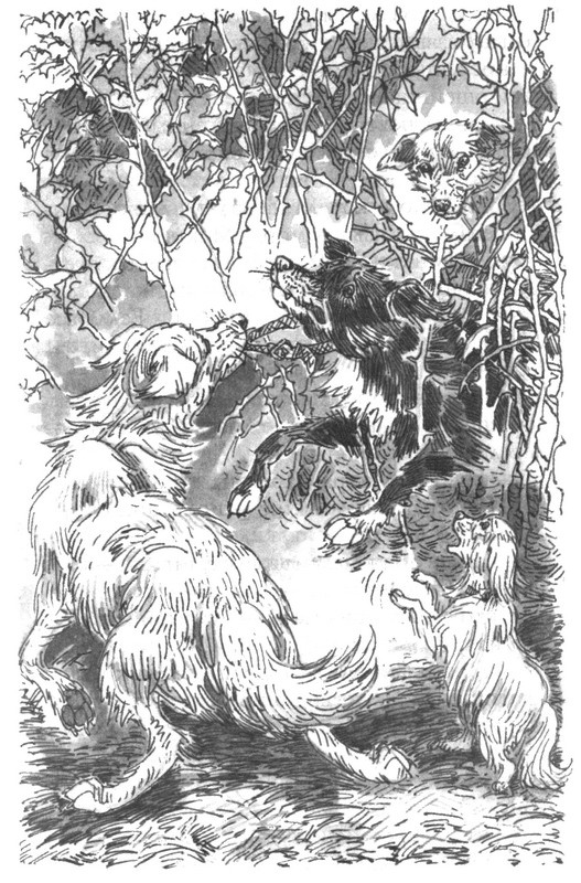 Иллюстрация к книге — Пустой город [pic247.jpg]