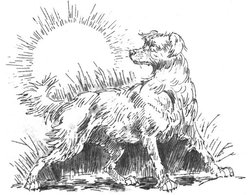 Иллюстрация к книге — Пустой город [pic345.jpg]