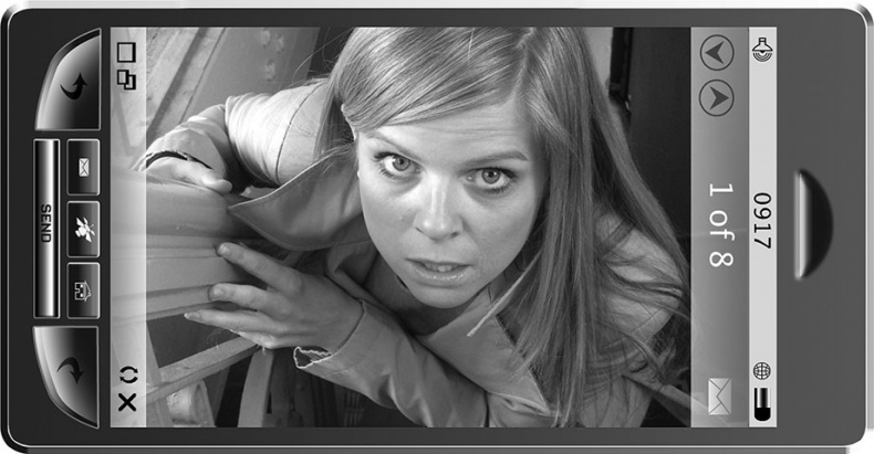 Иллюстрация к книге — Кэхиллы против Весперов. Королевский выкуп [i_001.jpg]