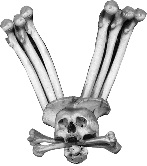 Иллюстрация к книге — Кэхиллы против Весперов. Королевский выкуп [i_005.jpg]