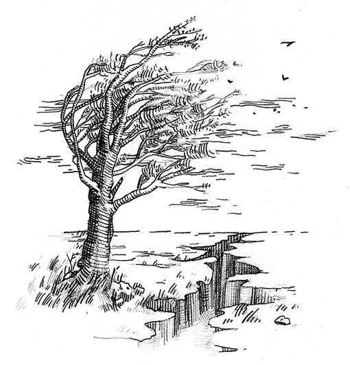 Иллюстрация к книге — Вихри перемен [i_004.jpg]