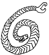 Иллюстрация к книге — Всемирная история болезни [i_027.jpg]