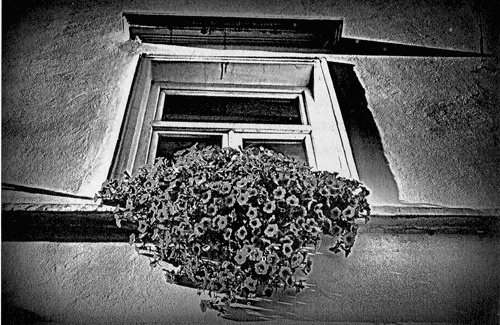 Иллюстрация к книге — Сказки Старого Вильнюса III [i_002.jpg]