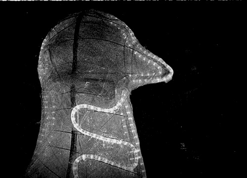 Иллюстрация к книге — Сказки Старого Вильнюса III [i_006.jpg]