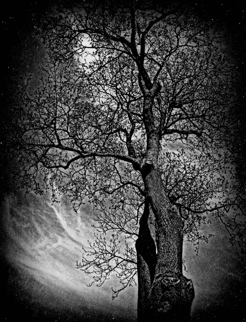 Иллюстрация к книге — Сказки Старого Вильнюса III [i_007.jpg]