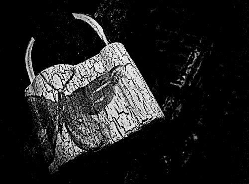 Иллюстрация к книге — Сказки Старого Вильнюса III [i_024.jpg]