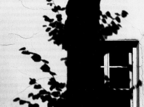 Иллюстрация к книге — Сказки Старого Вильнюса III [i_030.jpg]