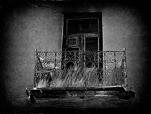 Иллюстрация к книге — Сказки Старого Вильнюса III [i_031.jpg]