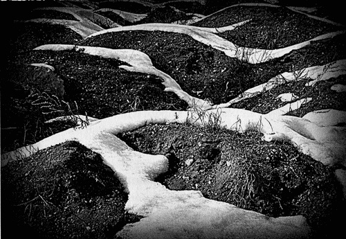 Иллюстрация к книге — Сказки Старого Вильнюса III [i_045.jpg]