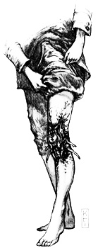 Иллюстрация к книге — Голиаф [i_039.jpg]