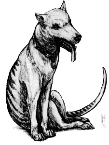 Иллюстрация к книге — Голиаф [i_056.jpg]