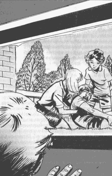 Иллюстрация к книге — Ошибка Лео Понтекорво [i_009.jpg]