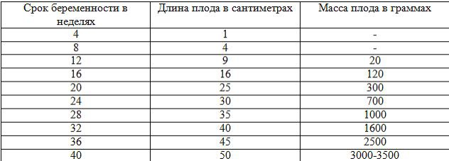 Иллюстрация к книге — Советы залетевшим [imgE036.jpg]