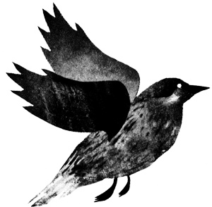 Иллюстрация к книге — Сцены из супружеской жизни [i_004.jpg]