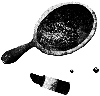 Иллюстрация к книге — Сцены из супружеской жизни [i_022.jpg]