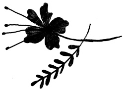 Иллюстрация к книге — Сцены из супружеской жизни [i_032.jpg]