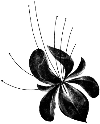 Иллюстрация к книге — Сцены из супружеской жизни [i_033.jpg]