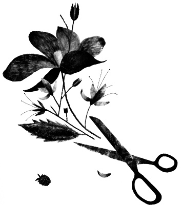 Иллюстрация к книге — Сцены из супружеской жизни [i_036.jpg]