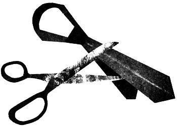 Иллюстрация к книге — Сцены из супружеской жизни [i_037.jpg]