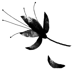 Иллюстрация к книге — Сцены из супружеской жизни [i_038.jpg]