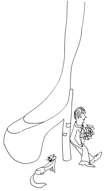 Иллюстрация к книге — В каждом молчании своя истерика [i_001.jpg]