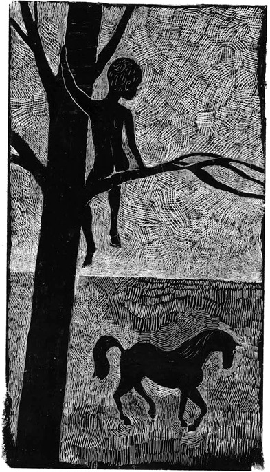 Иллюстрация к книге — Все мы не красавцы [i_005.jpg]