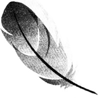 Иллюстрация к книге — Дорога соли [i_001.jpg]