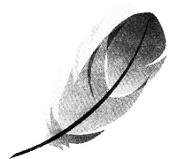 Иллюстрация к книге — Дорога соли [i_002.jpg]