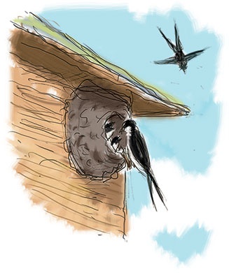 Иллюстрация к книге — Калле Блюмквист и Расмус [i_003.jpg]