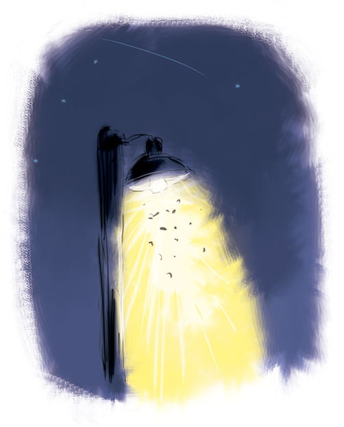 Иллюстрация к книге — Знаменитый сыщик Калле Блюмквист рискует [i_022.jpg]