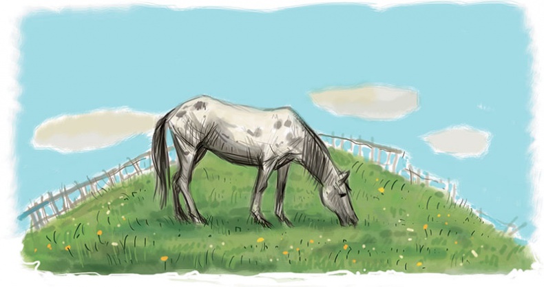 Иллюстрация к книге — Знаменитый сыщик Калле Блюмквист играет [i_023.jpg]